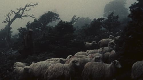 Pastori di Orgosolo Bild 3