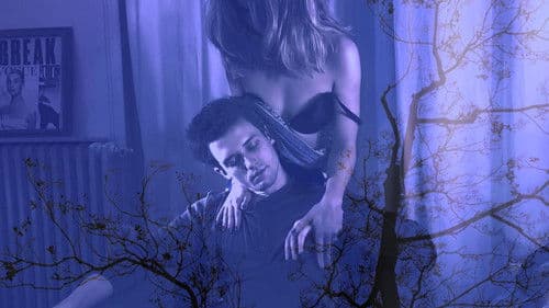 Roy Stuart's Glimpse 31 Bild 2