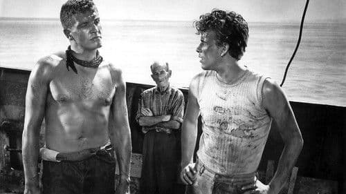 Das Totenschiff Bild 5