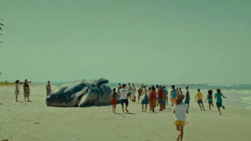 Sem Coração Bild 4