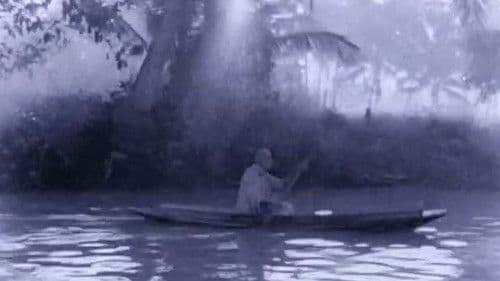 Die Parallelstrasse Bild 2