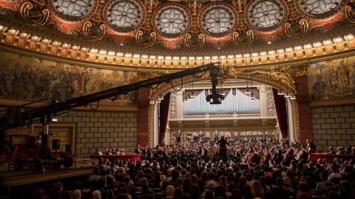 Cravata galbenă Bild 7