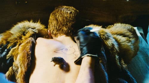 Vtáčkovia, siroty a blázni Bild 7