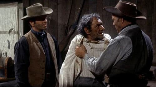 Django – Kreuze im blutigen Sand Bild 7