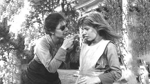 Licht im Dunkel Bild 7