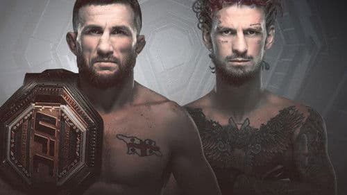 UFC 316: Dvalishvili vs. O'Malley 2 Bild 5