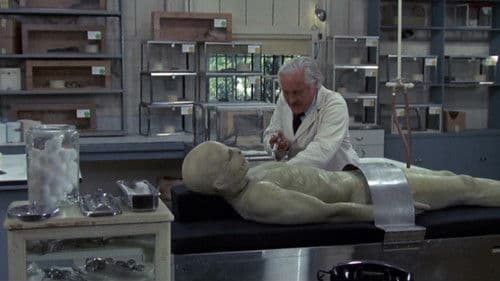 Sssssnake Kobra Bild 1