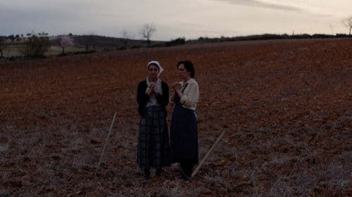 Venus no es Santo Bild 3