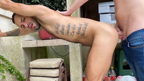 Str8 Chaser 27 Bild 3