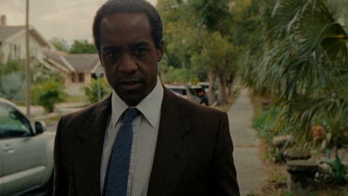 Dark My Light Bild 2