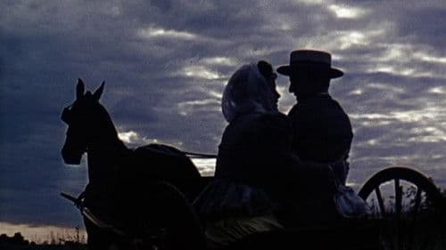 Wait Till the Sun Shines, Nellie Bild 1