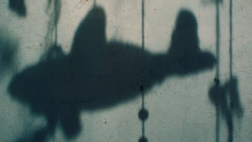 Bei meiner Seele Bild 6