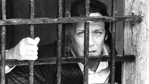 L'Affaire Crazy Capo Bild 3