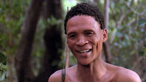 Die Götter müssen verrückt sein Bild 6