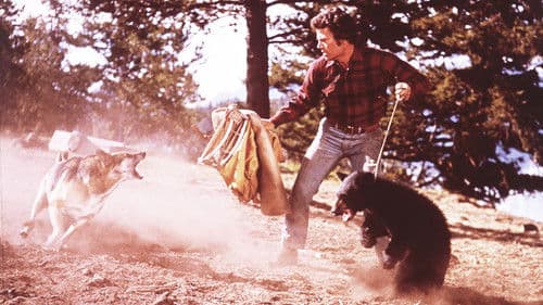 Meine Bären und ich Bild 3