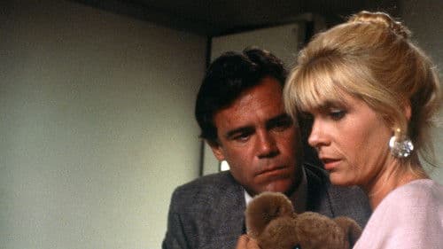 Kate's Secret Bild 4