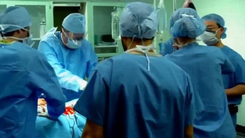 Ocean of Pearls Bild 1