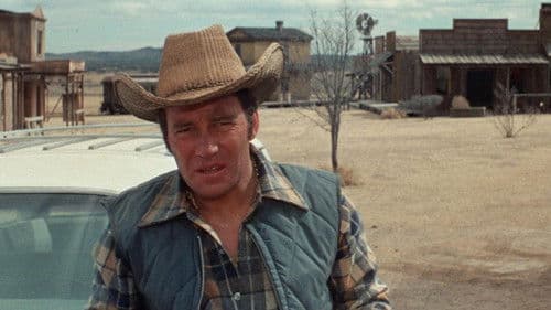 Nachts, wenn die Zombies schreien Bild 3