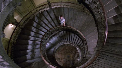 Spider Labyrinth - In den Fängen der Todestarantel Bild 6