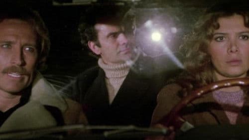 Von Corleone nach Brooklyn Bild 2