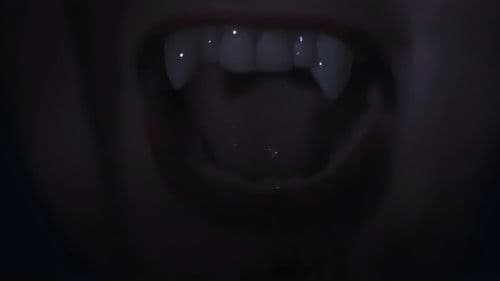 The Fox and The Rabbit Bild 4