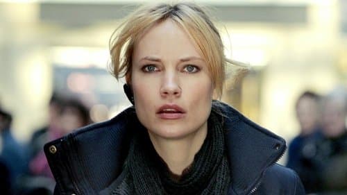 Irene Huss, Kripo Göteborg Bild 1