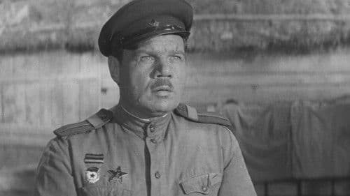 Годен к нестроевой Bild 2