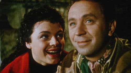 Kam čert nemůže Bild 1