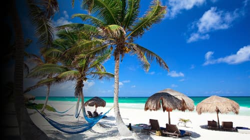 Tattoo Fixers on Holiday - Die Cover up-Profis Bild 1