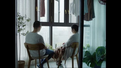 Sweet Osmanthus Flowering Late Bild 8