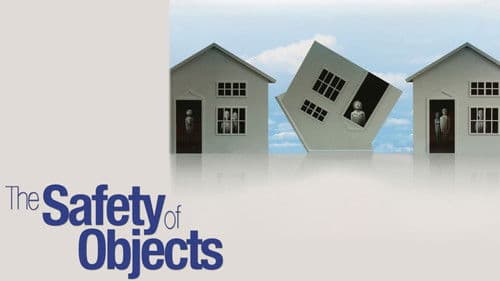 The Safety of Objects Bild 1
