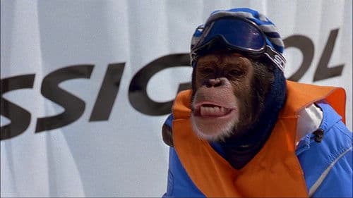 Jack - Extrem cool Bild 3