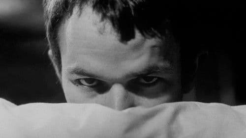 Mit der Faust in der Tasche Bild 5