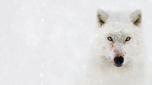 Feindselige Erde Bild 1