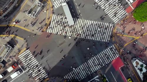 Family Romance, LLC Bild 4