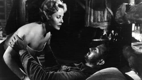 La Tierra del Fuego se apaga Bild 1