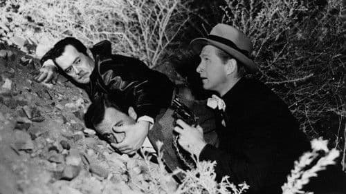 Aufruhr in Santa Sierra Bild 6