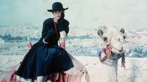 Goodbye, New York Bild 1