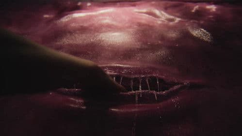 Teenage Sex and Death at Camp Miasma Bild 7