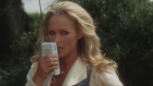 Asphalt Katze Bild 5