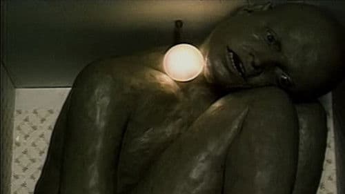 Tma, světlo, tma Bild 2