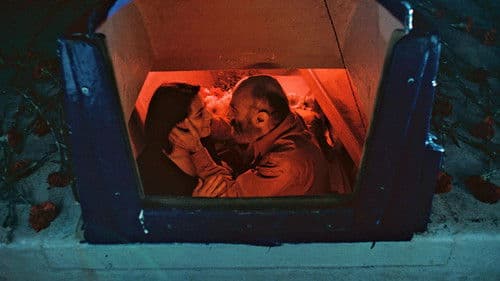 Gaza Mon Amour Bild 1