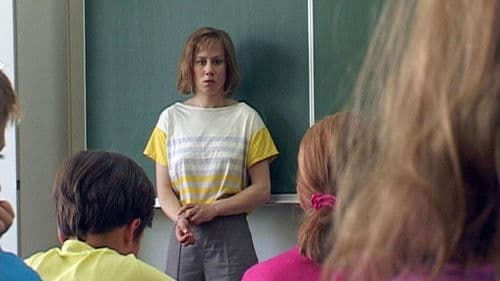 Der Wald vor lauter Bäumen Bild 2