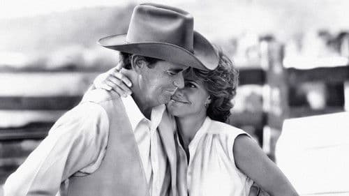 Die zweite Wahl - Eine Romanze Bild 5