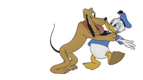 This Is Your Life Donald Duck Bild 1