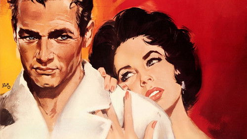 Die Katze auf dem heißen Blechdach Bild 3