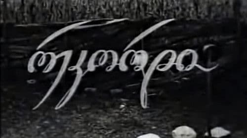 რეკორდი Bild 1