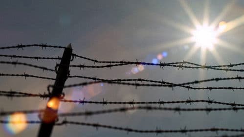 Στο Σύρμα Bild 1