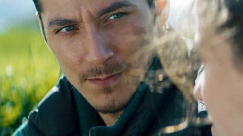 Schweigend steht der Wald Bild 7