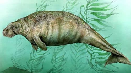 O Poema Imperfeito Bild 2